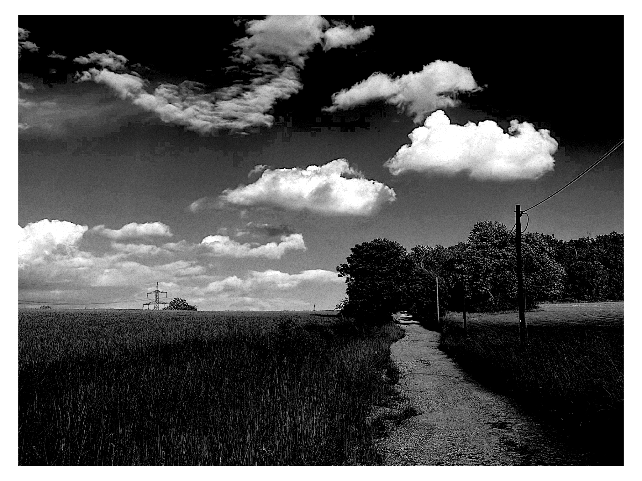 gravel trail in fields blue cloudy sky