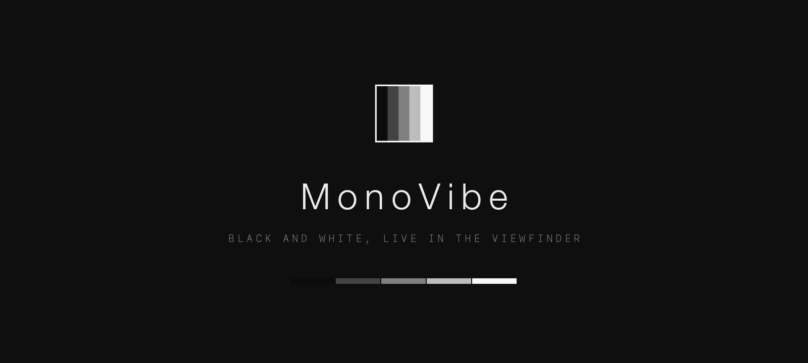 MonoVibe — black and white, live in the viewfinder